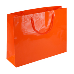 Large Orange Paper Bag